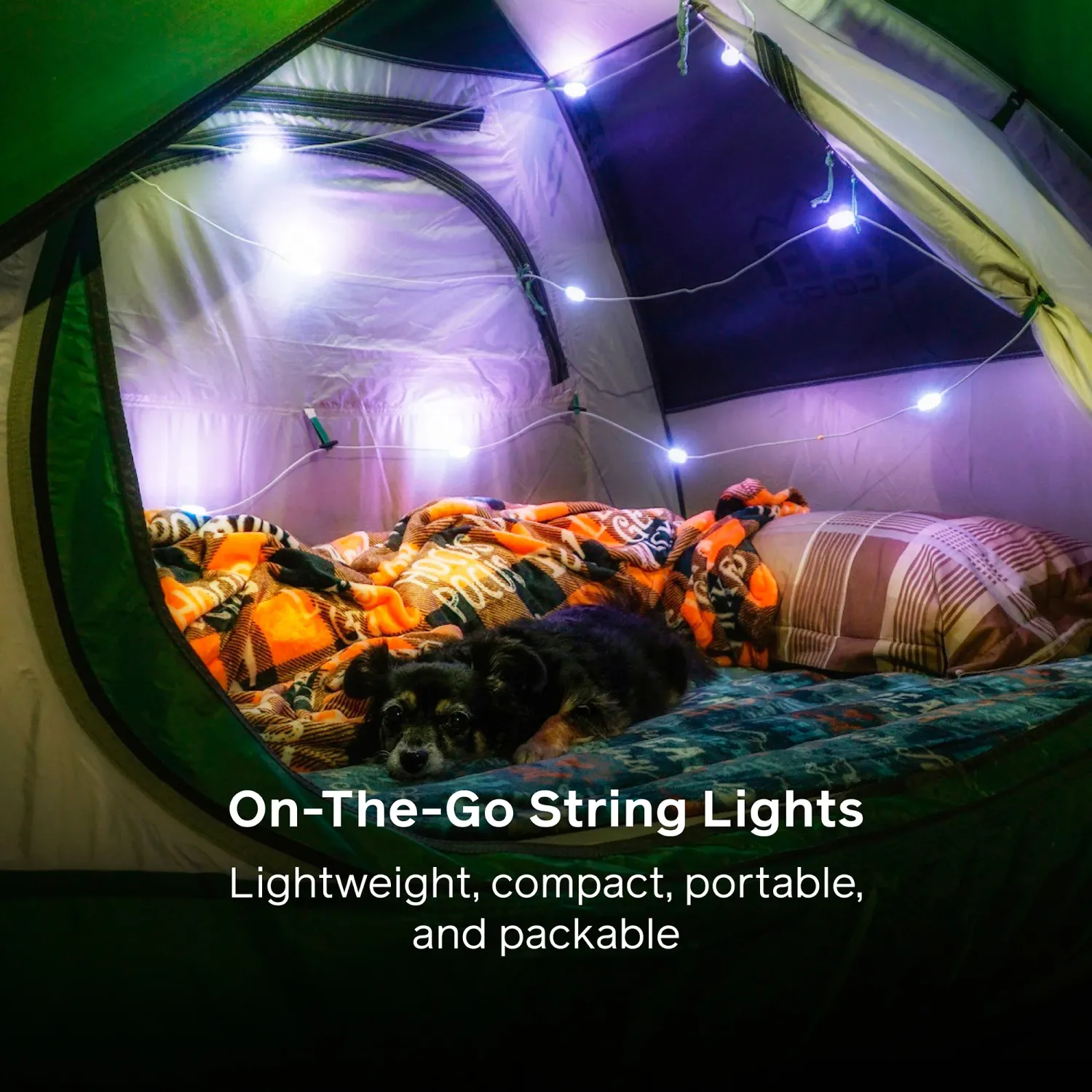 Biolite Solar String 18'