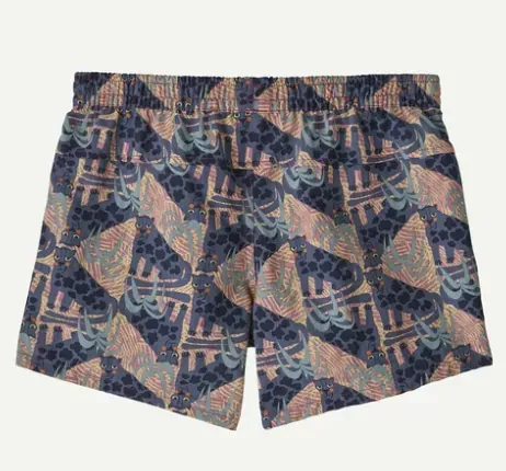 Patagonia Kids' Baggies Shorts 4" - Unlined, front view