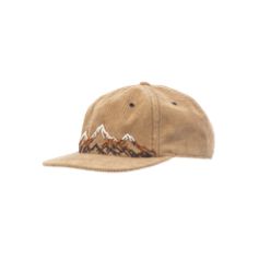 Pistil Carlton Cap, Color: Gold