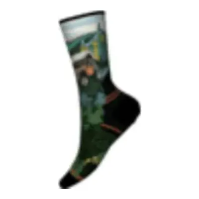 SW003032 - Smartwool Hike Targeted Cushion Trail Trekker Crew Sock, front view