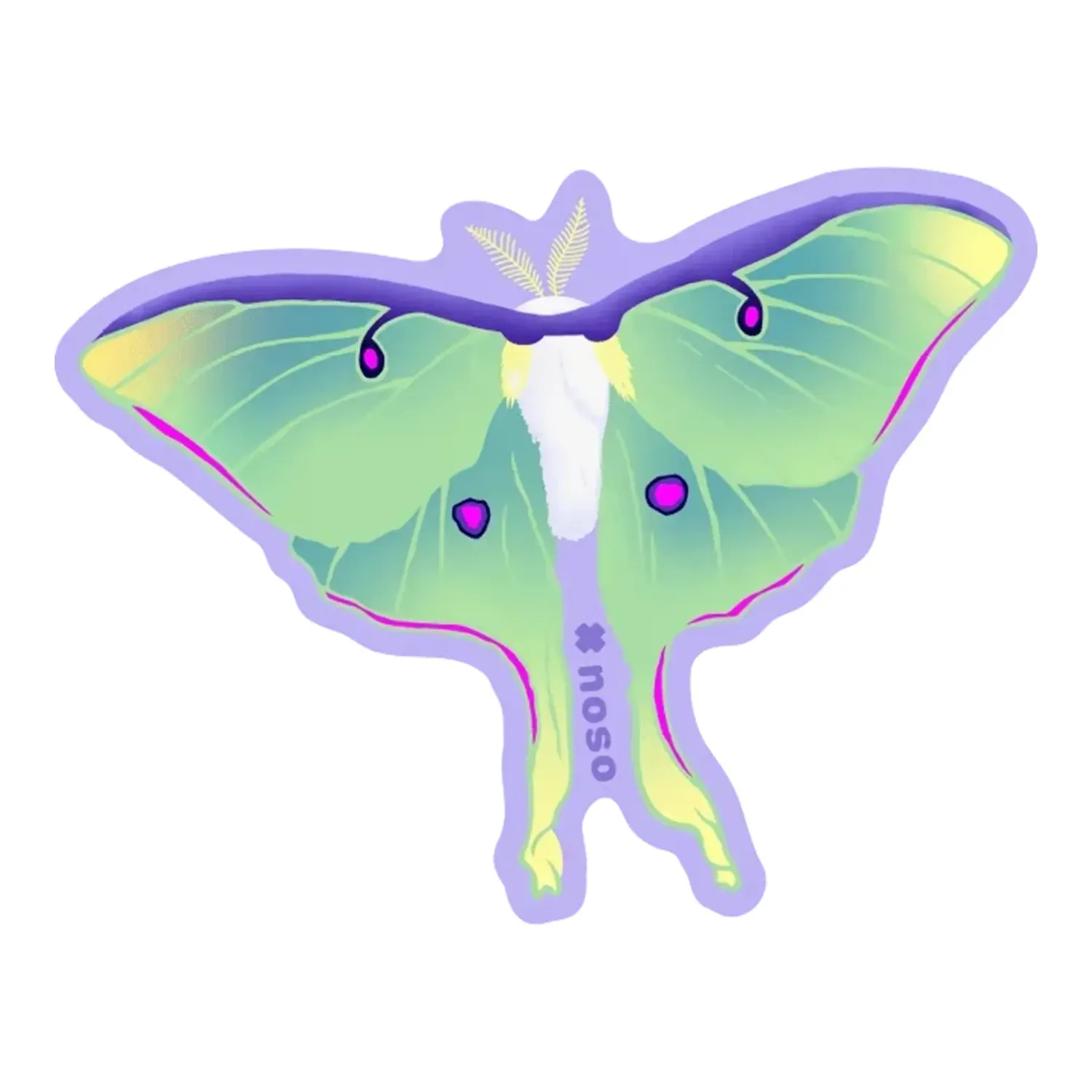 NoSo Luna Moth, main view