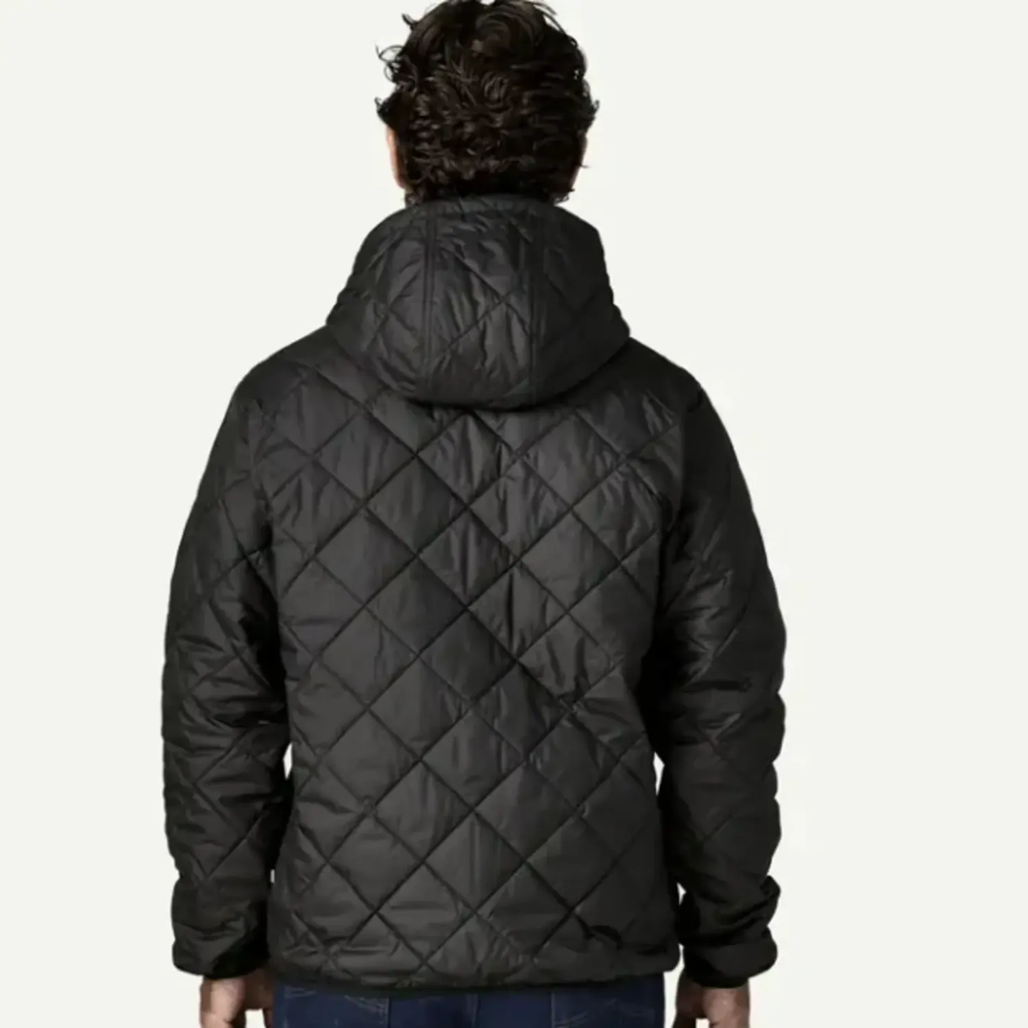 Patagonia Men's Diamond Quilted Bomber Hoody, alternate view 2