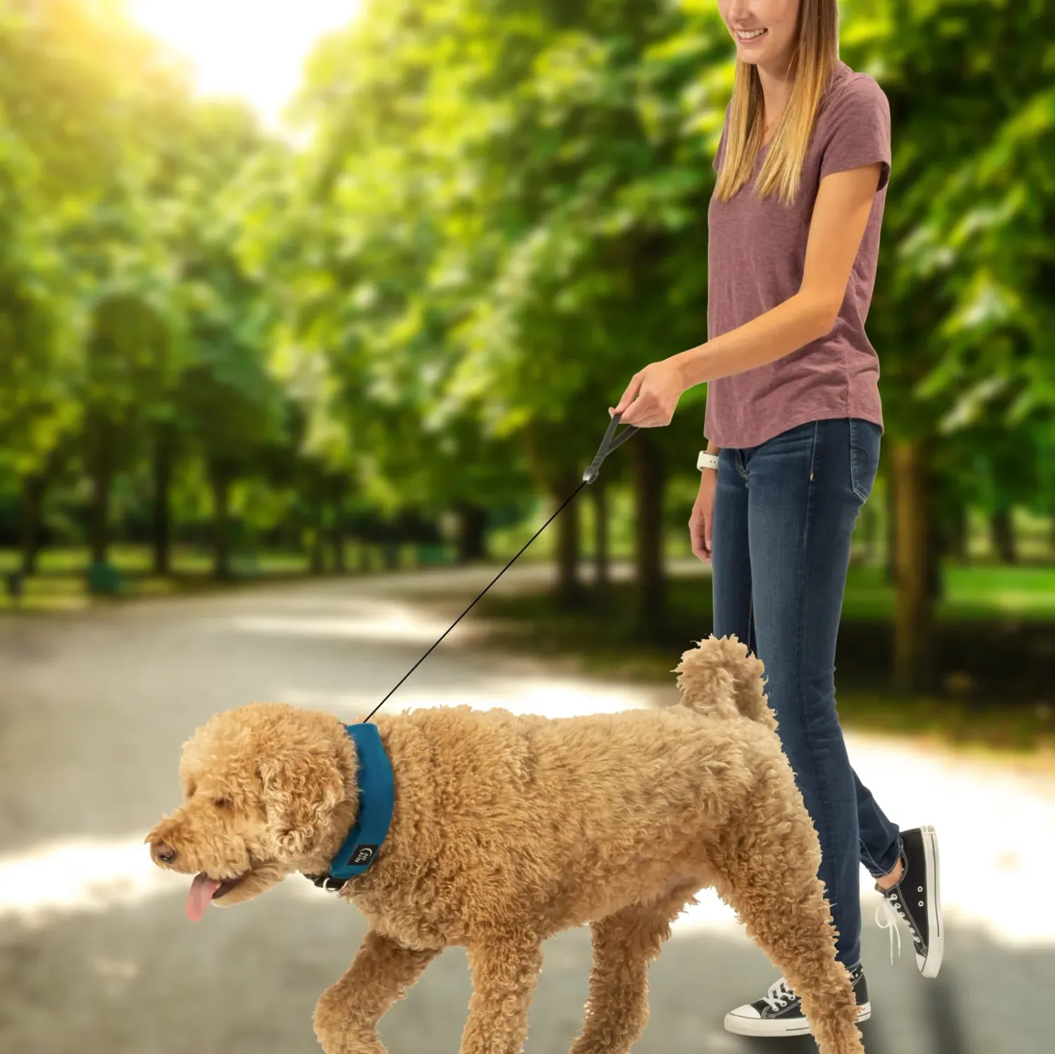Nite Ize RadDog All-In-One Collar, alternate view 1