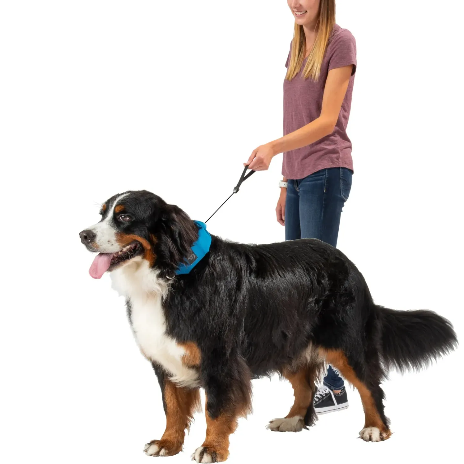 Nite Ize RadDog All-In-One Collar, alternate view 2