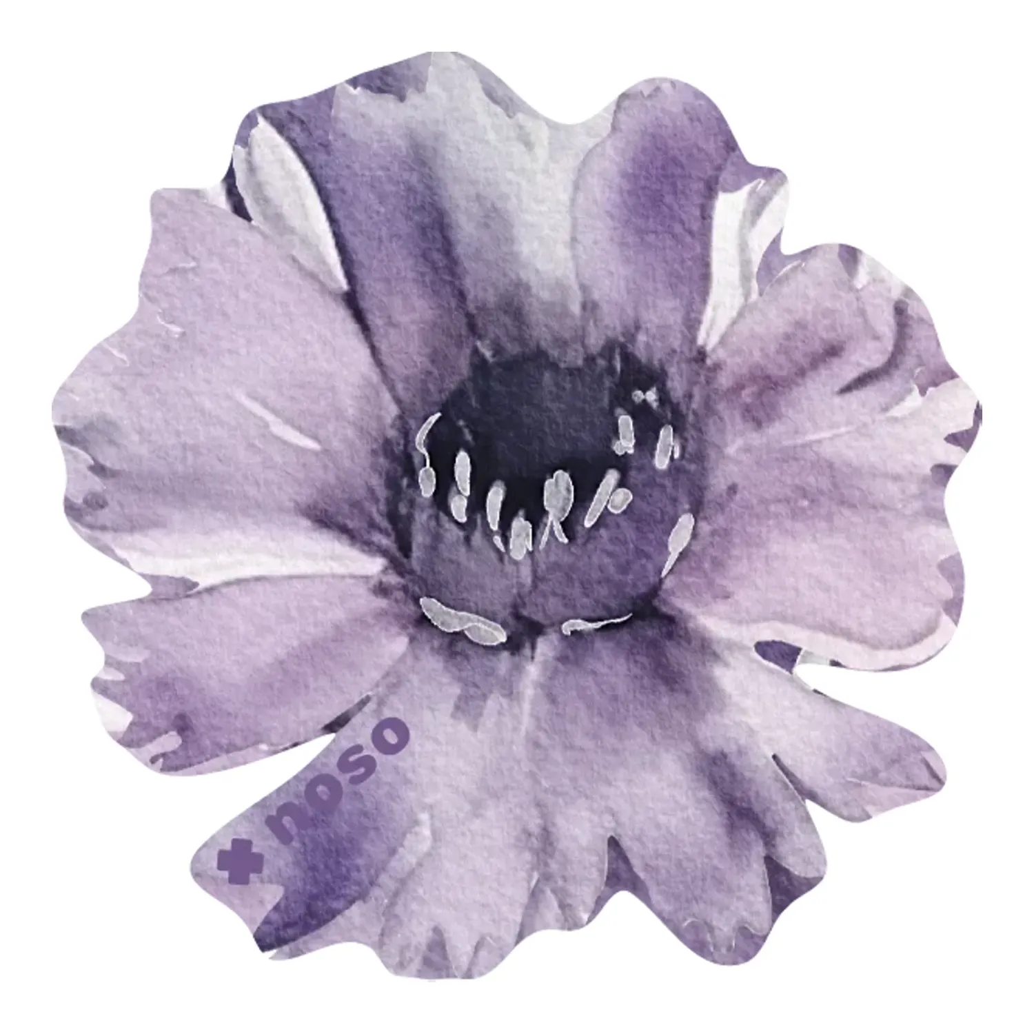 NoSo Purple Daisy, main view