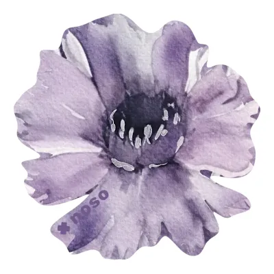 NoSo Purple Daisy, main view