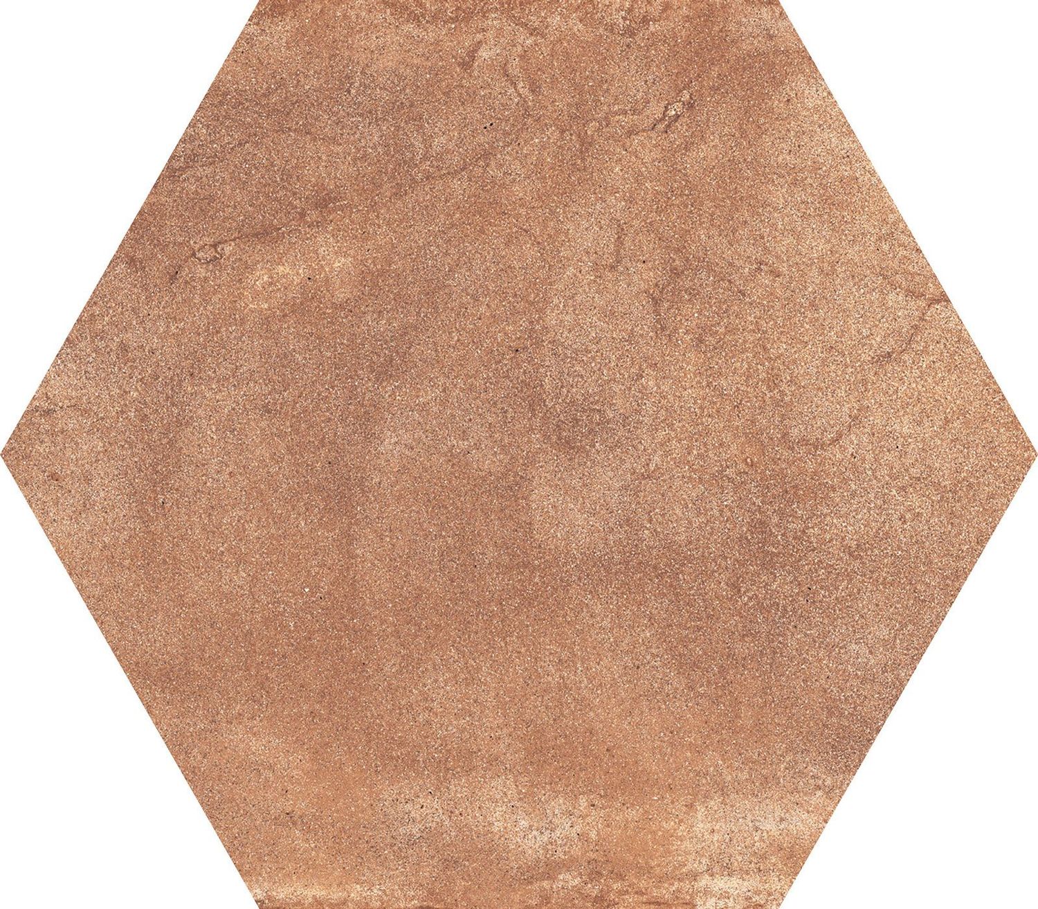 Terrae
