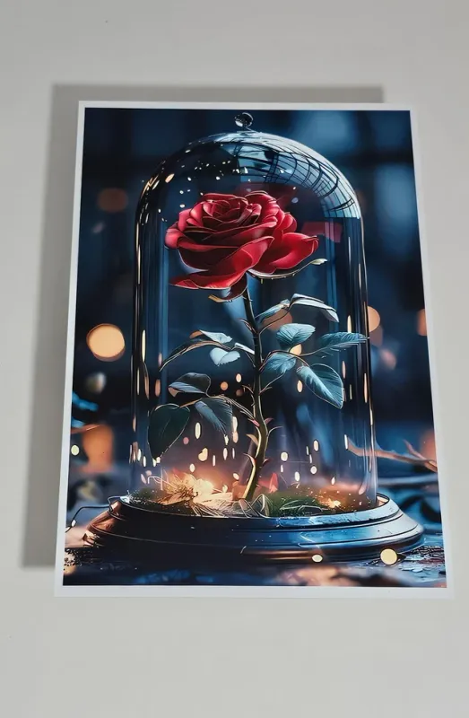 Cuadro de aluminio Rosa