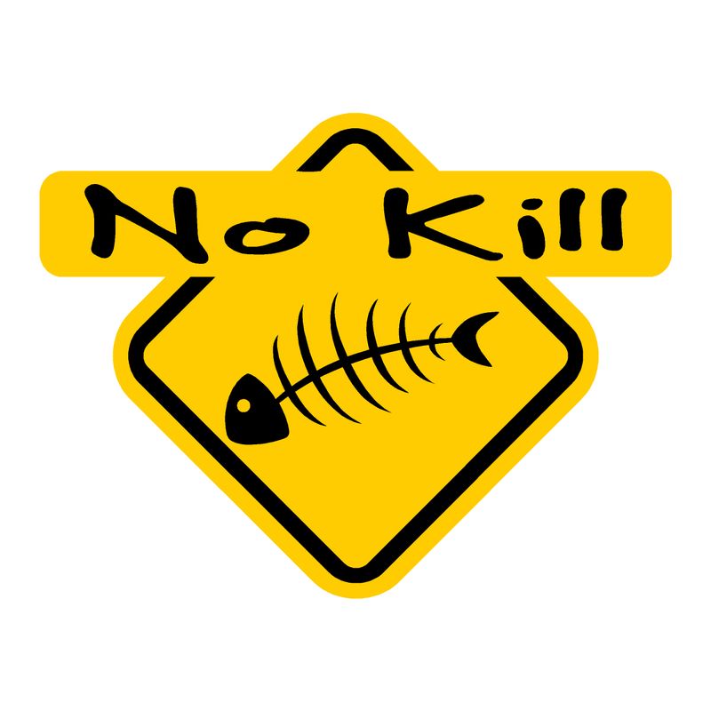 1 Sticker NO KILL REF 03