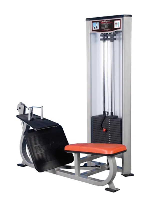 RAPTOR P-4200 Seated Cable Row
