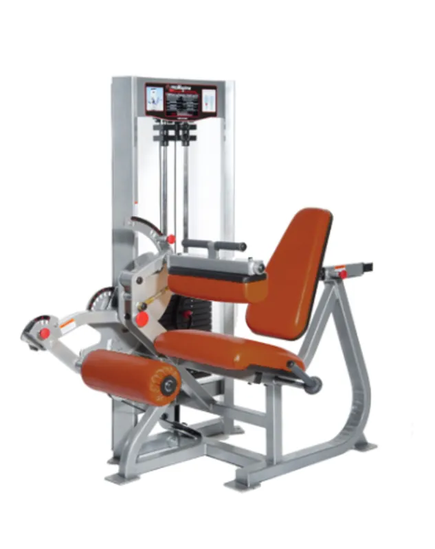 RAPTOR P-5500 Dual Leg Extension/Leg Curl