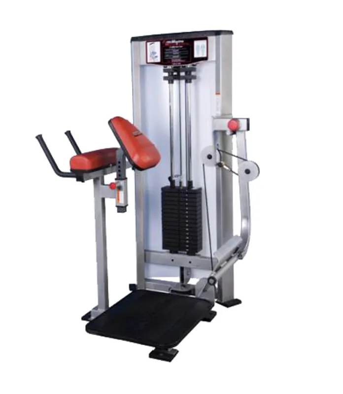 RAPTOR P-5400 Glute & Ham Developer