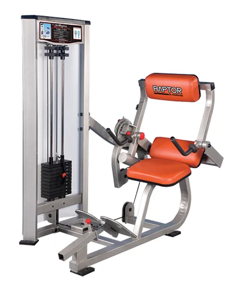 RAPTOR P-6000 Low Back Extension
