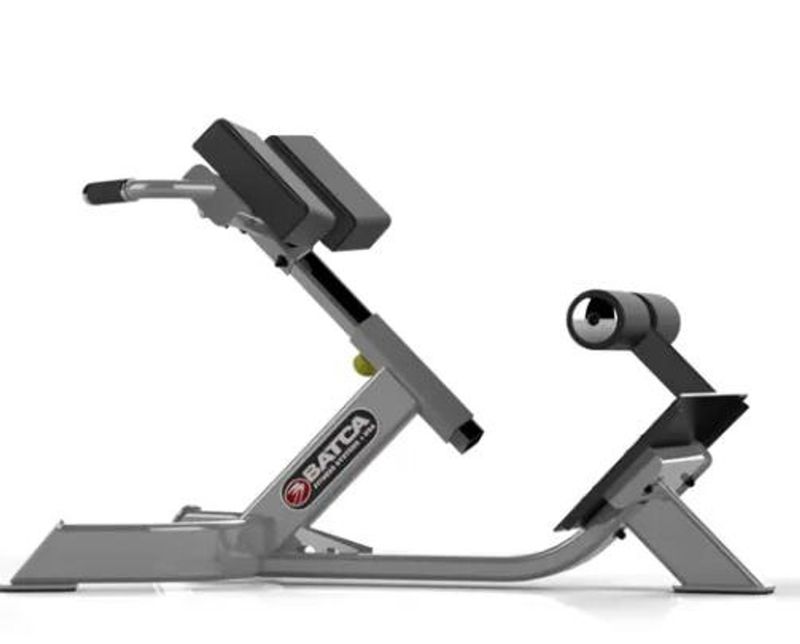BATCA FZ BENCHES - 45 Degree Back Extension