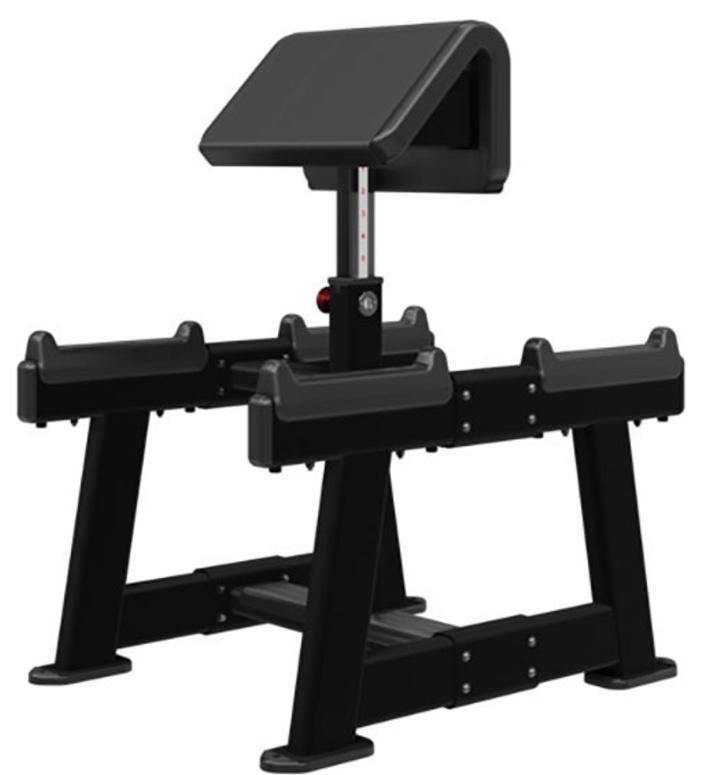 Nautilus Inspiration Standing Arm Curl