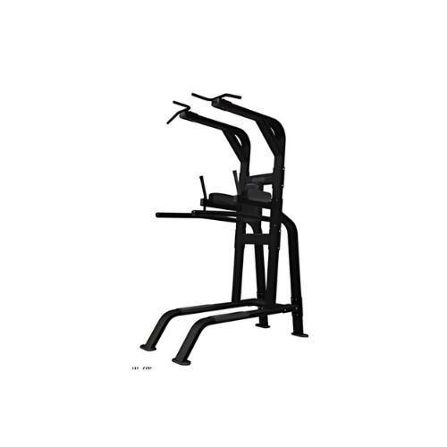 Nautilus Inspiration Pull-Up/Dip/Leg Raise