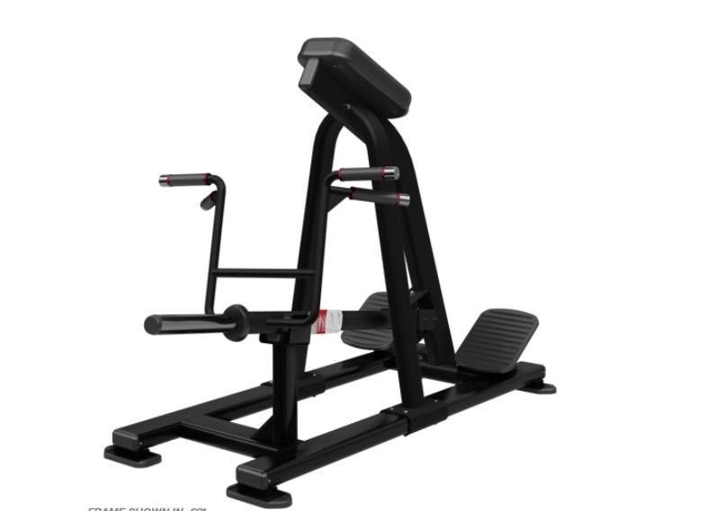 Nautilus Incline Lever Row (Plate Loaded)