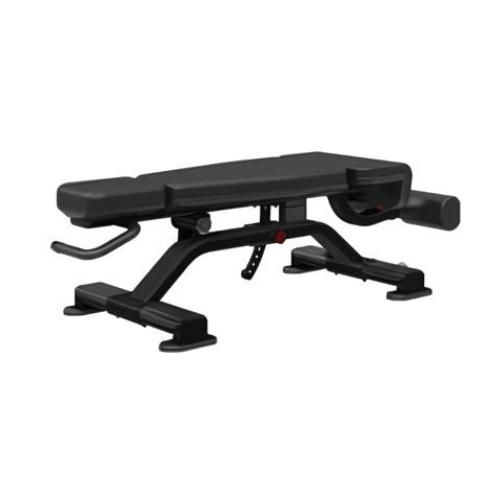 Nautilus Inspiration Adjustable Decline Bench