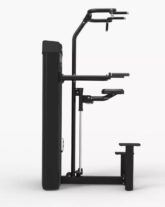 SPIRIT Fitness Pull Up/Dip Assist SPIRIT Fitness Pull Up/Dip Assist