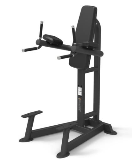 SPIRIT FITNESS VERTICAL LEG RAISE/DIP SPIRIT FITNESS VERTICAL LEG RAISE/DIP