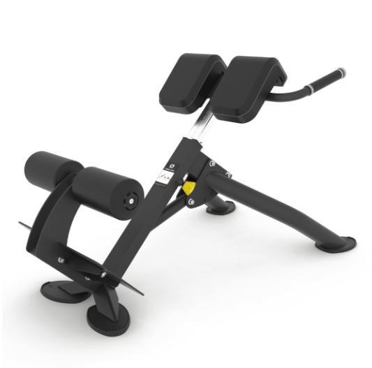 SPIRIT BACK EXTENSION SPIRIT BACK EXTENSION