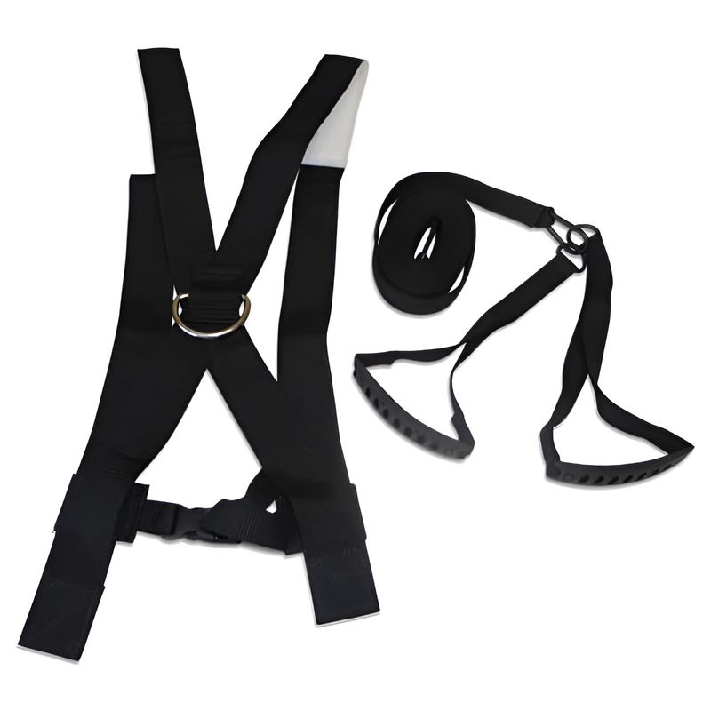 SPRINT RESISTOR SPRINT RESISTOR