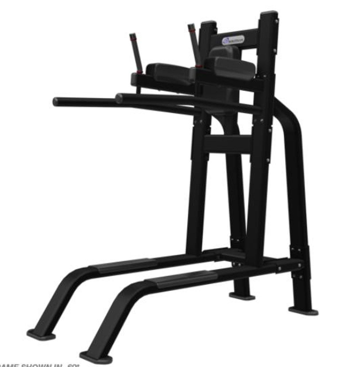 NAUTILUS INSPIRATION PULL-UP/DIP/ LEG RAISE NAUTILUS INSPIRATION PULL-UP/DIP/ LEG RAISE