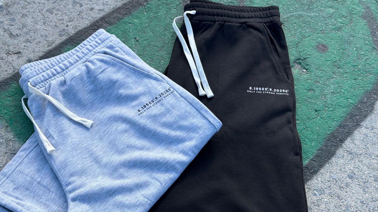 Coordinate Shorts