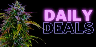 Daily Deals