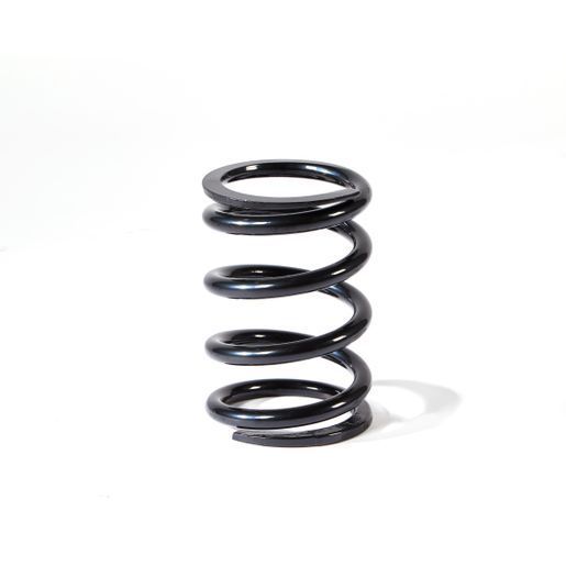 Spring Coil