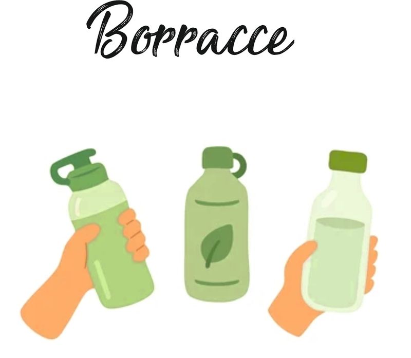 BORRACCE