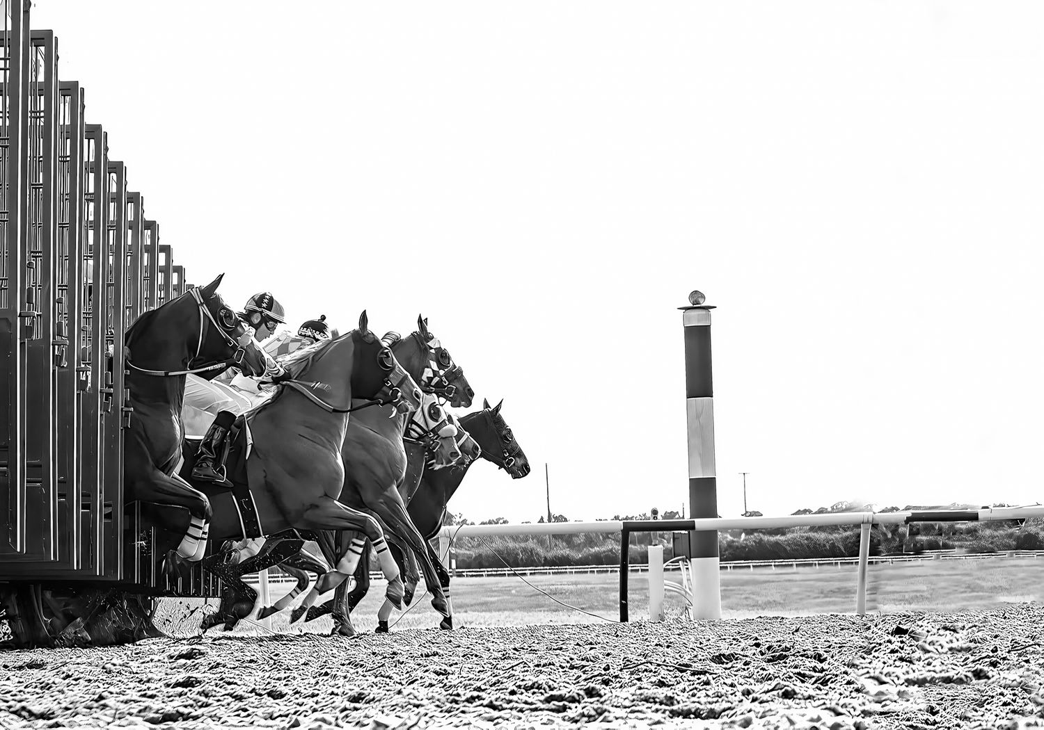 And They&#39;re Off!