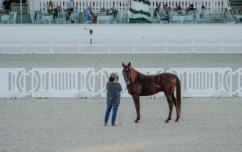 Hey there from the World Equestrian Center!