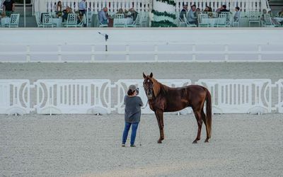 Hey there from the World Equestrian Center!