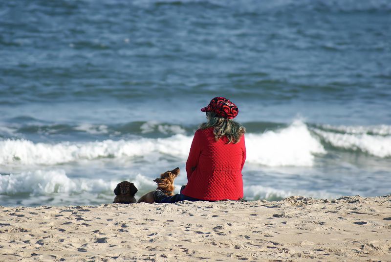 Give Me Attention, Mommy!