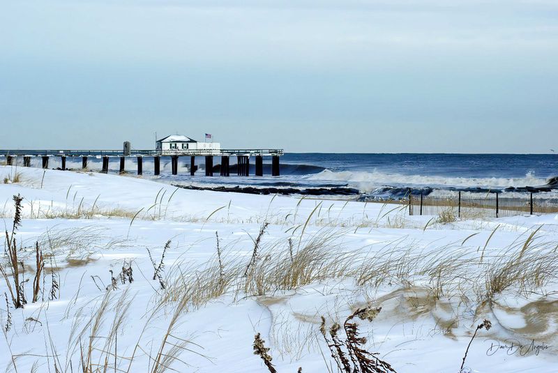 Snow At The Pier