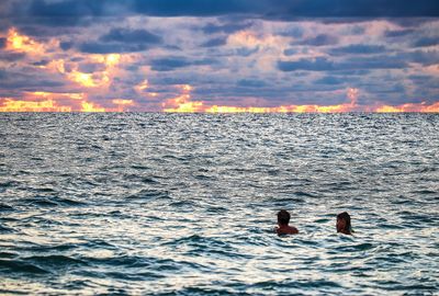 Sunset Swimmers