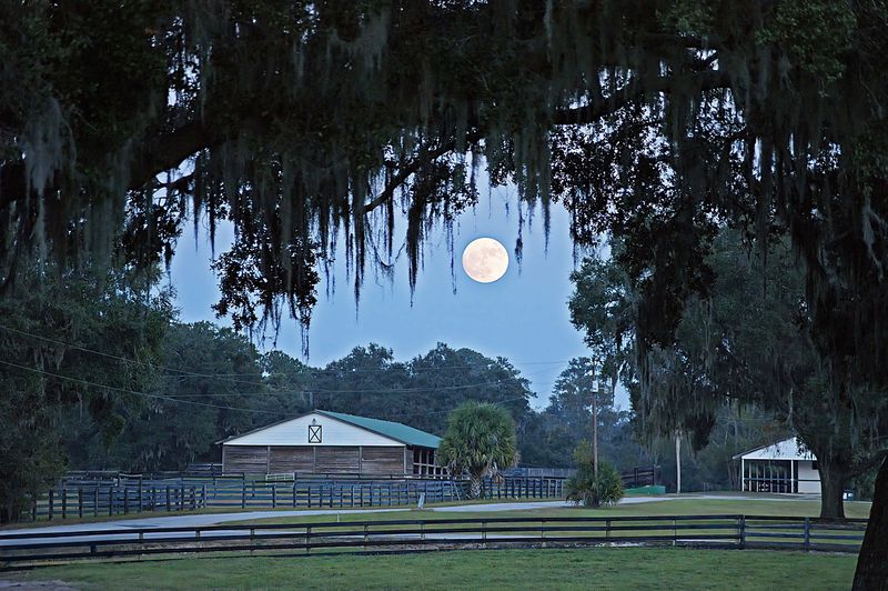 Supermoon in Ocala, FL