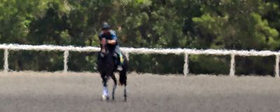 Turf Heat at OBS in Ocala, FL