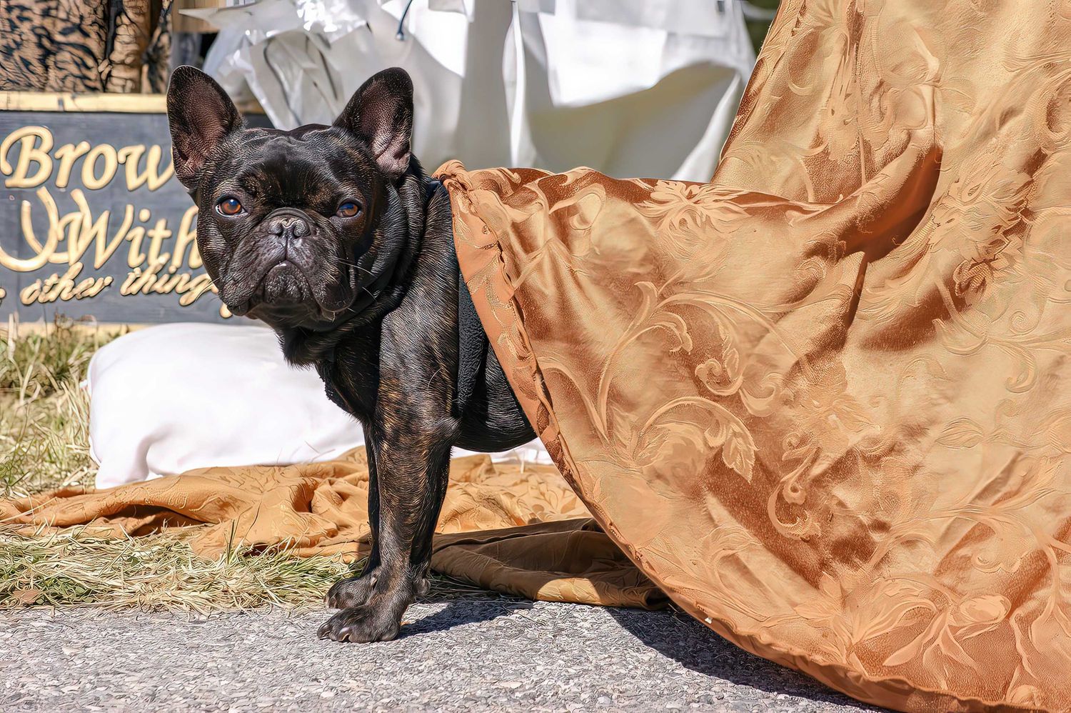 Waddaya Lookin&#39; At?