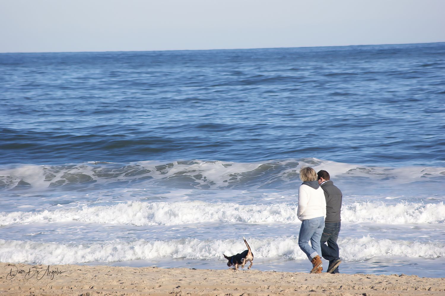 Dog Walking Its Owners