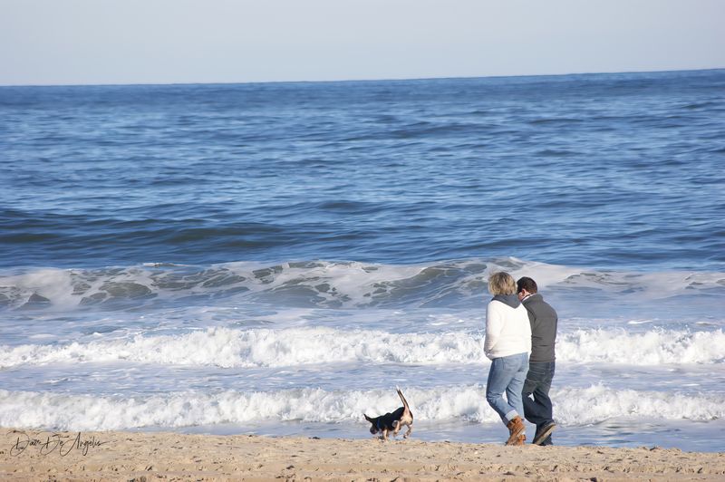 Dog Walking Its Owners