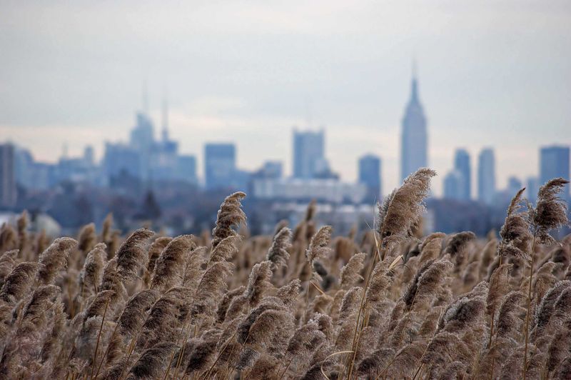 New York From New Jersey