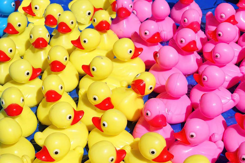 Ducks In A Row At The Arcade