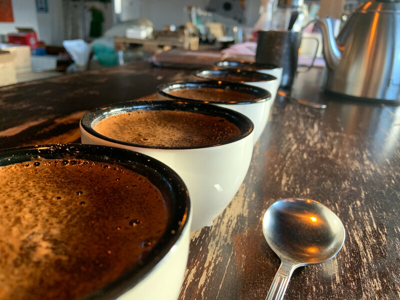 Introduction To Coffee, 4 Hours Course