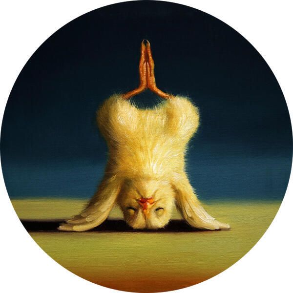 Yoga Chick Magnets