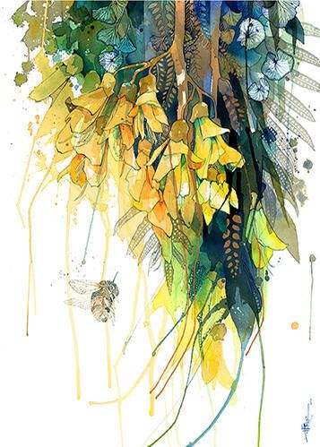 Kowhai Epiphyte Experiment