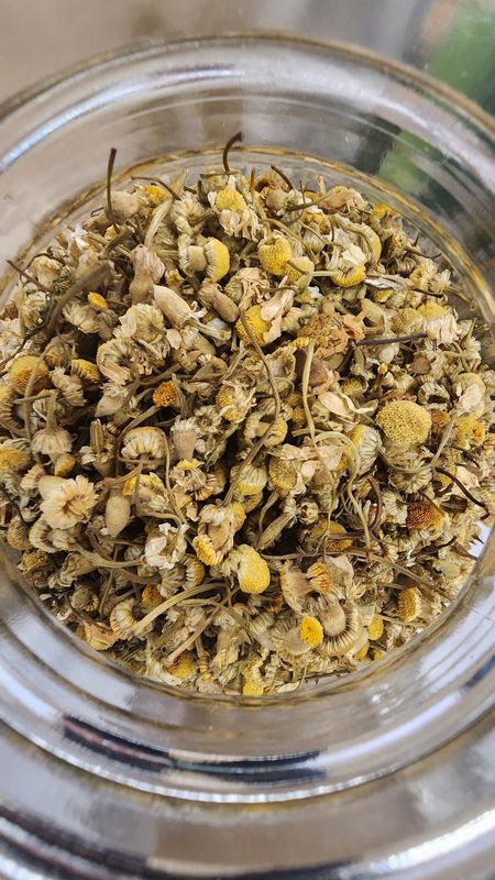 Chamomile (Whole Flower)