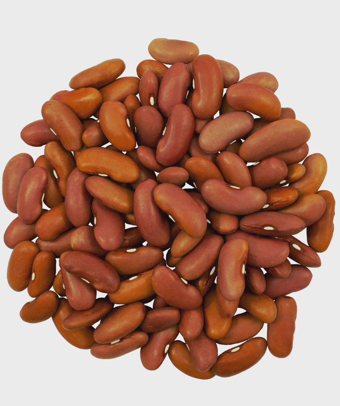 Kidney Beans (Organic)