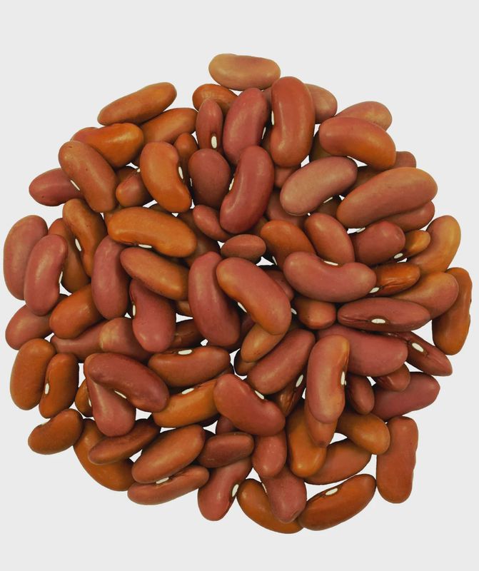 Kidney Beans (Organic)